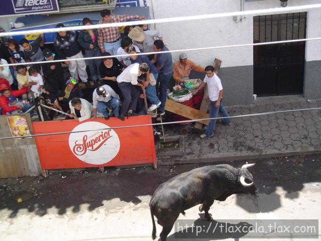 Fotos de la huamantlada(23/08/2003) - Foto