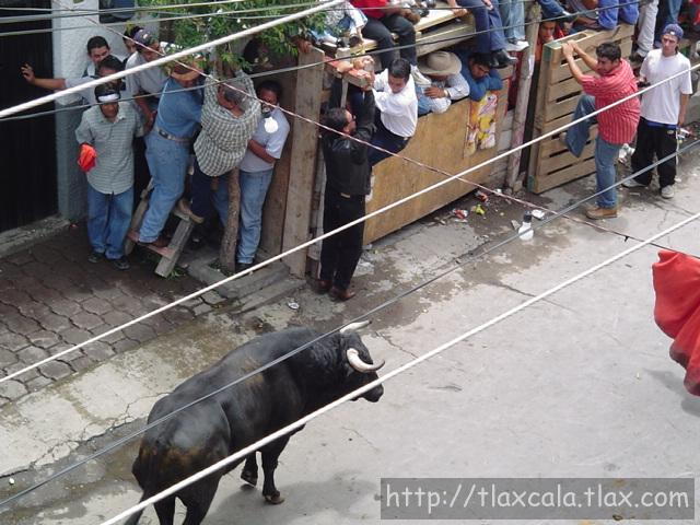 Fotos de la huamantlada(23/08/2003) - Foto