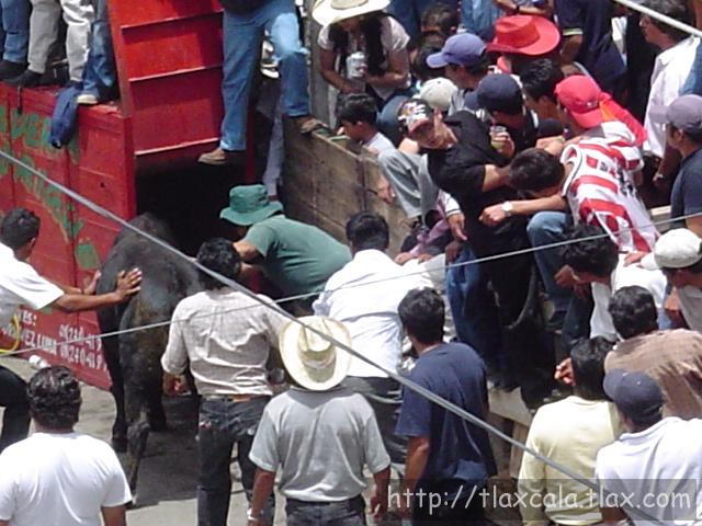 Fotos de la huamantlada(23/08/2003) - Foto