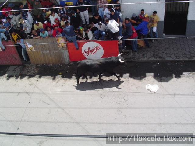 Fotos de la huamantlada(23/08/2003) - Foto