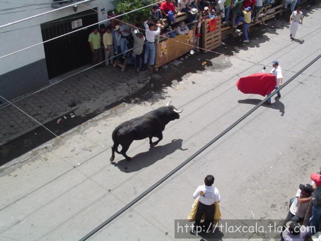 Fotos de la huamantlada(23/08/2003) - Foto