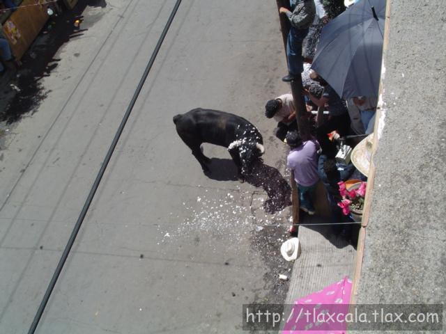 Fotos de la huamantlada(23/08/2003) - Foto