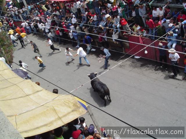 Fotos de la huamantlada(23/08/2003) - Foto