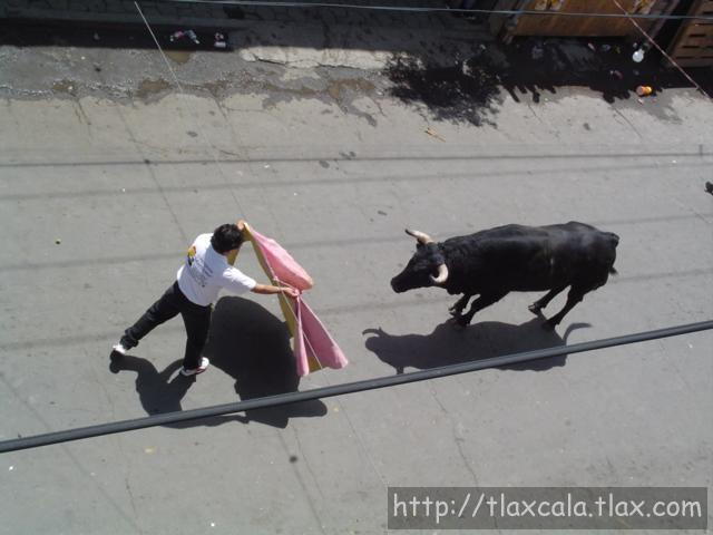 Fotos de la huamantlada(23/08/2003) - Foto