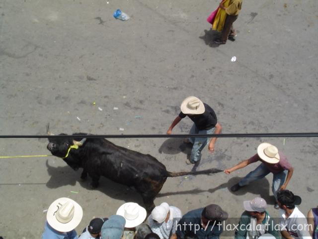 Fotos de la huamantlada(23/08/2003) - Foto
