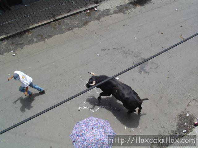 Fotos de la huamantlada(23/08/2003) - Foto