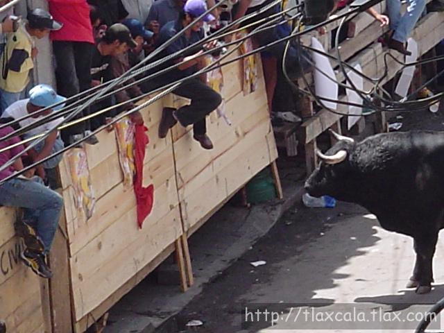 Fotos de la huamantlada(23/08/2003) - Foto