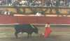Corrida de Toros en Huamantla