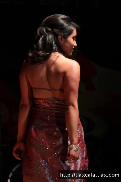 Reina de la Feria Apizaco 2011 - Foto