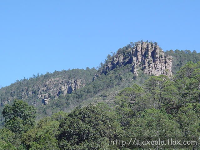 Bosques de Tlaxco