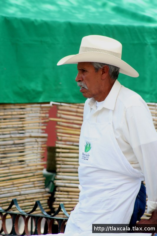 6 Aniversario del Mercado Alternativo Tlaxcala - Foto