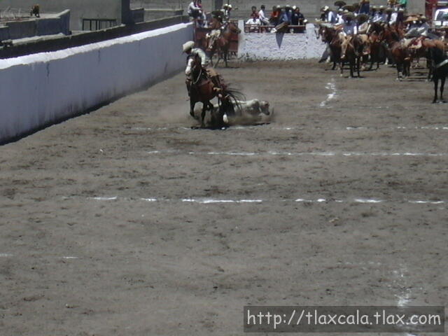 Ren Lpez derribando redonda con distancia