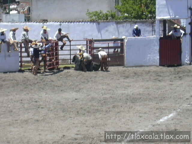 Rene Lopez jineteando toro