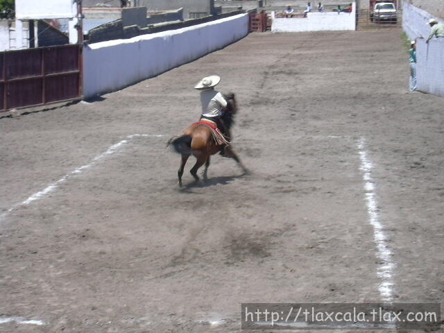 Don Manuel Lopez dando giros a su yegua