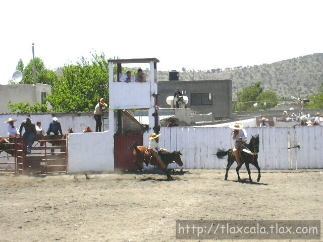 Alberto Valencia jintetando yegua