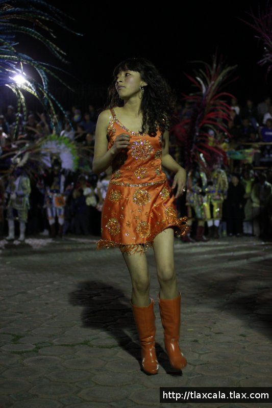 Remate de Carnaval San Francisco Tlacuilohcan 2012  - Foto