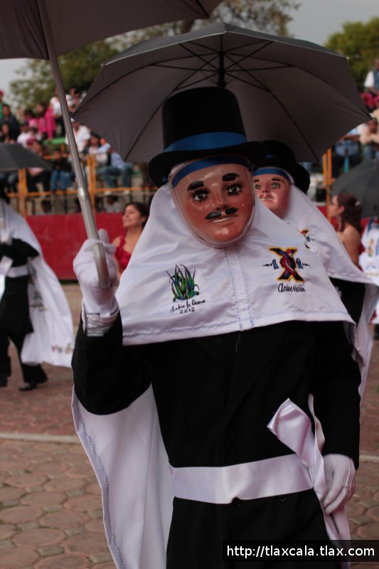 Carnaval San Francisco Tlacuilohcan 2012 - Octava - Foto