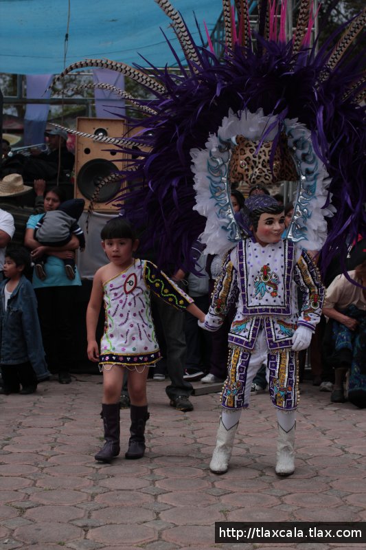 Carnaval San Francisco Tlacuilohcan 2012 - Octava - Foto