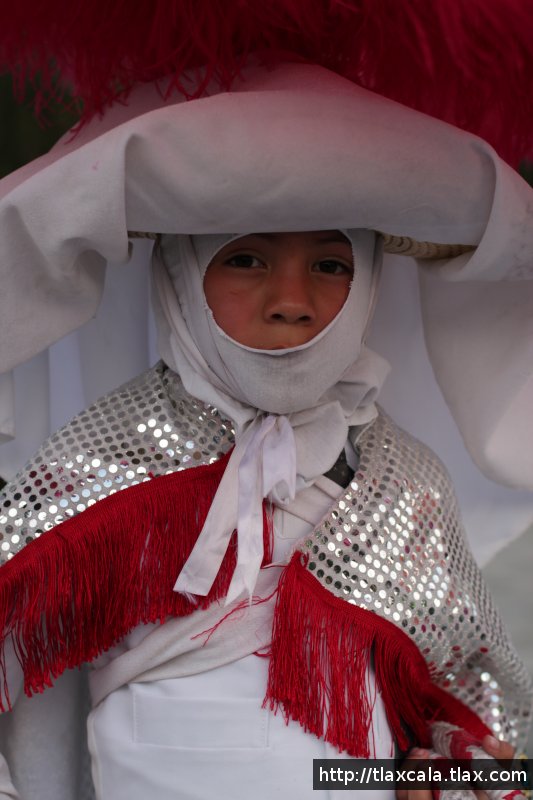 Carnaval Acuitlapilco 2012 - Camada Barrio Grande - Foto