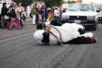 Pelea de gorilas
