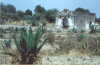 Tetlanohcan (Ex Hda. San Nicolas)