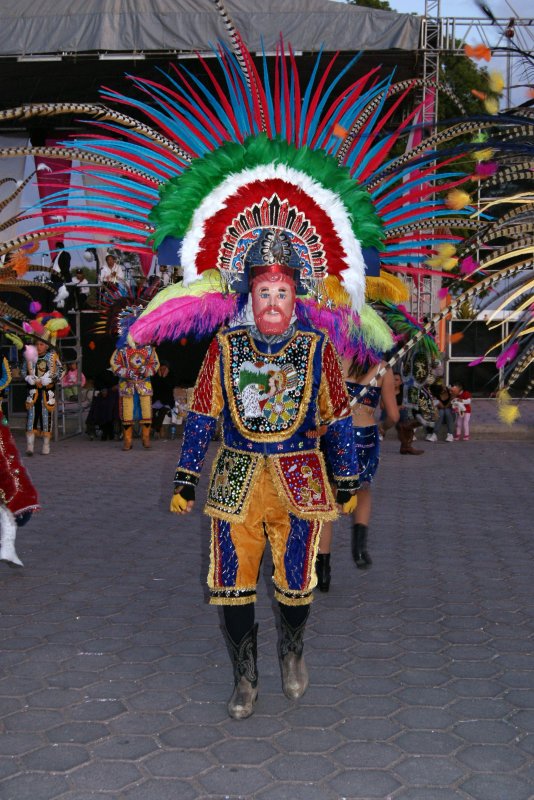 Carnaval San Simon Tlatlahuquitepec 2012 - Foto
