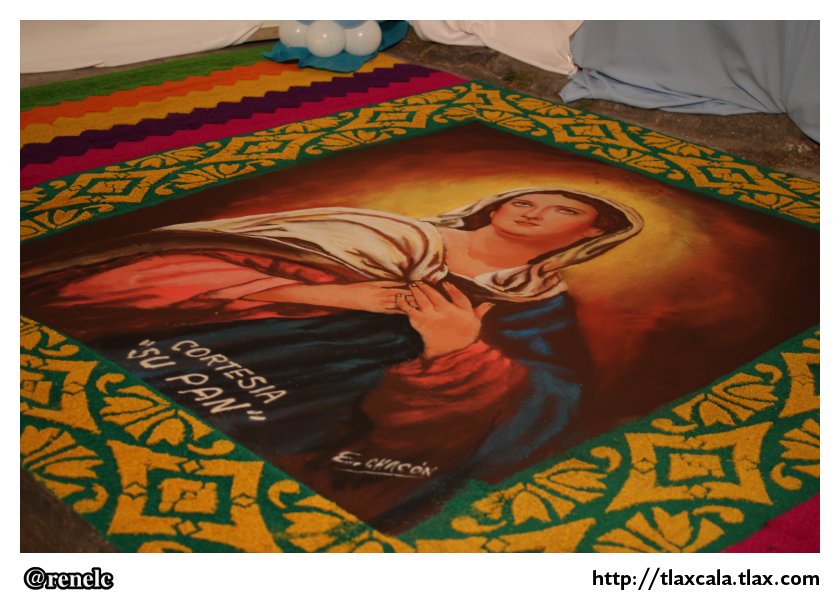 Alfombras para la virgen de la misericordia en Apizaco - 11 de mayo del 2012 - Foto