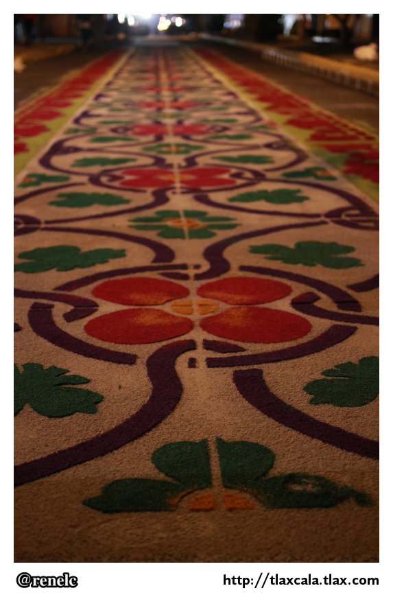 Alfombras para la virgen de la misericordia en Apizaco - 11 de mayo del 2012 - Foto