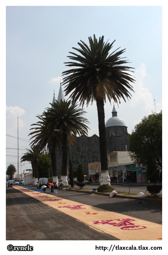 Alfombras para la virgen de la misericordia en Apizaco - 11 de mayo del 2012 - Foto