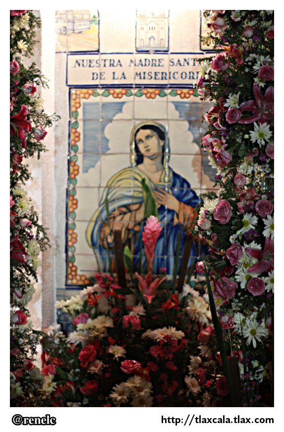 Alfombras para la virgen de la misericordia en Apizaco - 11 de mayo del 2012 - Foto