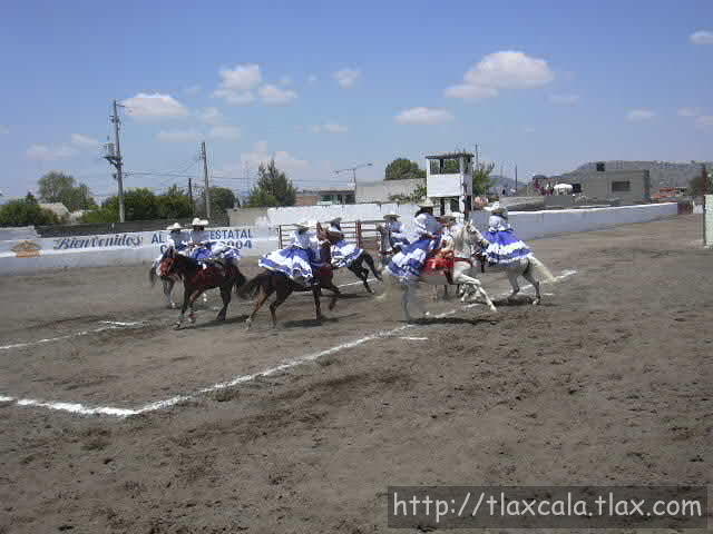 La concordia en accion