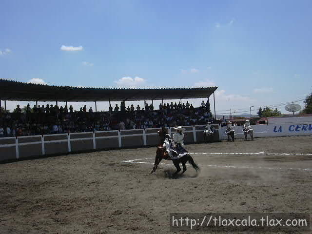 Presentacion
