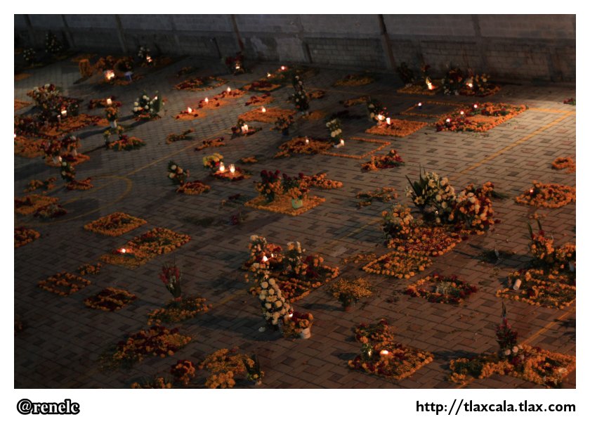 Dia de muertos en San Isidro Buen Suceso - Foto