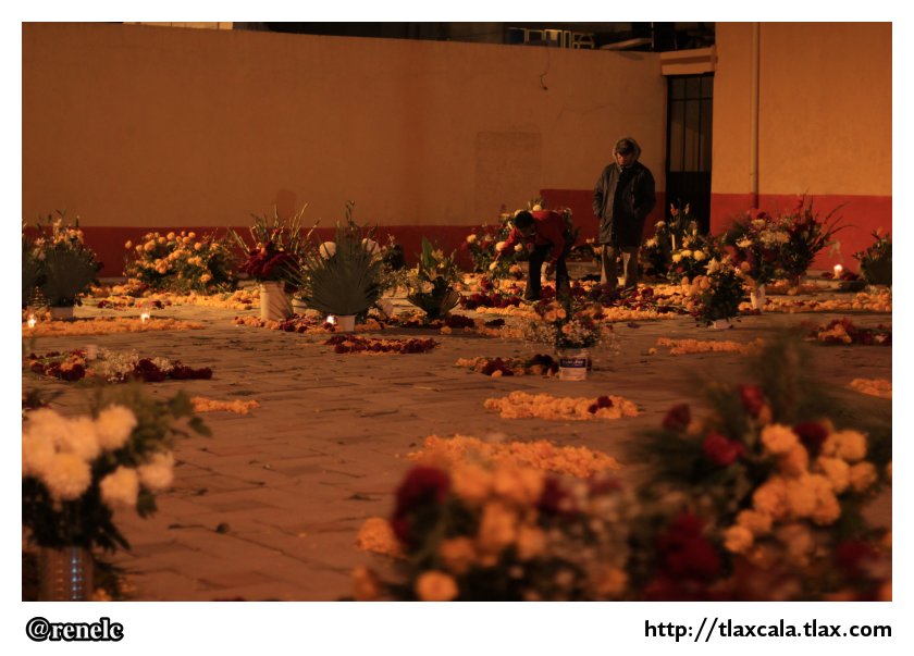 Dia de muertos en San Isidro Buen Suceso - Foto