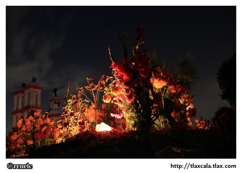 Dia de muertos en San Isidro Buen Suceso - Foto