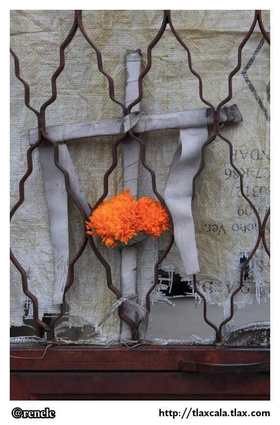 Dia de muertos en San Isidro Buen Suceso - Foto