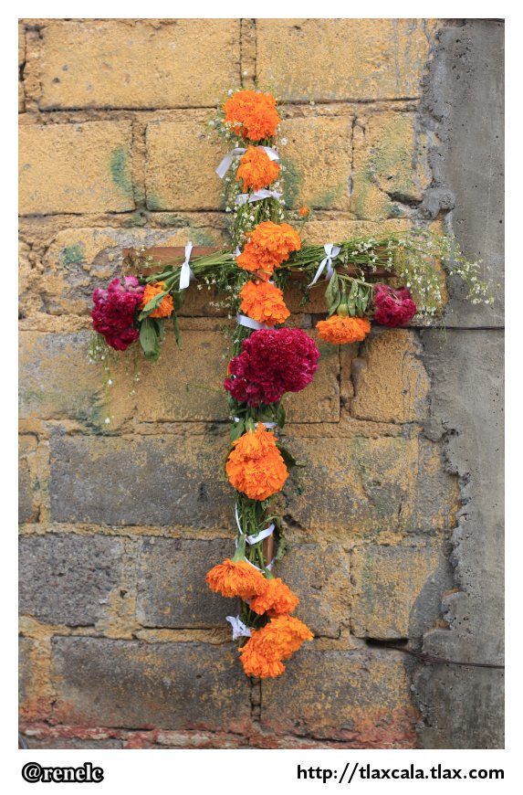 Dia de muertos en San Isidro Buen Suceso - Foto
