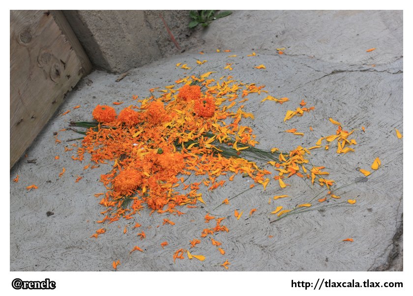 Dia de muertos en San Isidro Buen Suceso - Foto