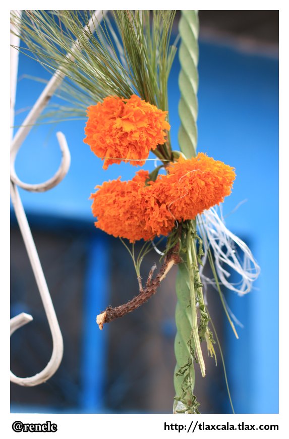 Dia de muertos en San Isidro Buen Suceso - Foto