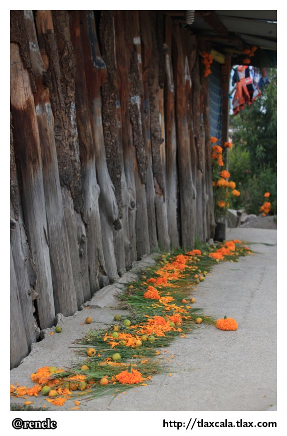 Dia de muertos en San Isidro Buen Suceso - Foto