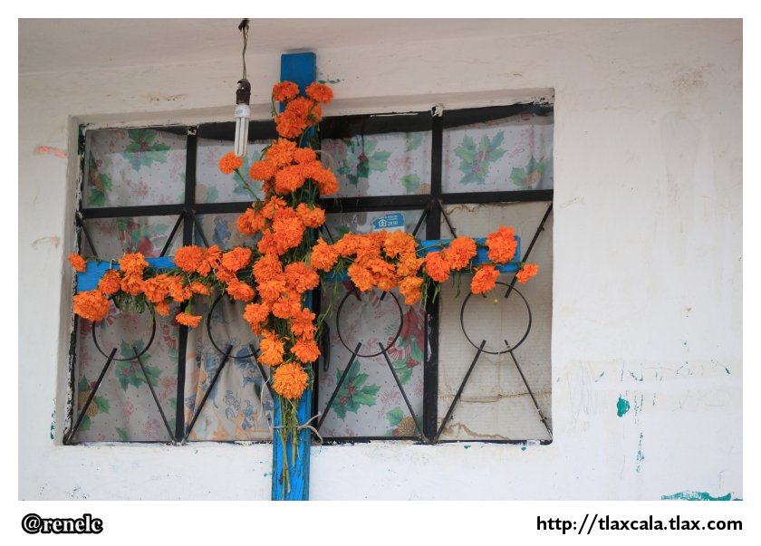 Dia de muertos en San Isidro Buen Suceso - Foto