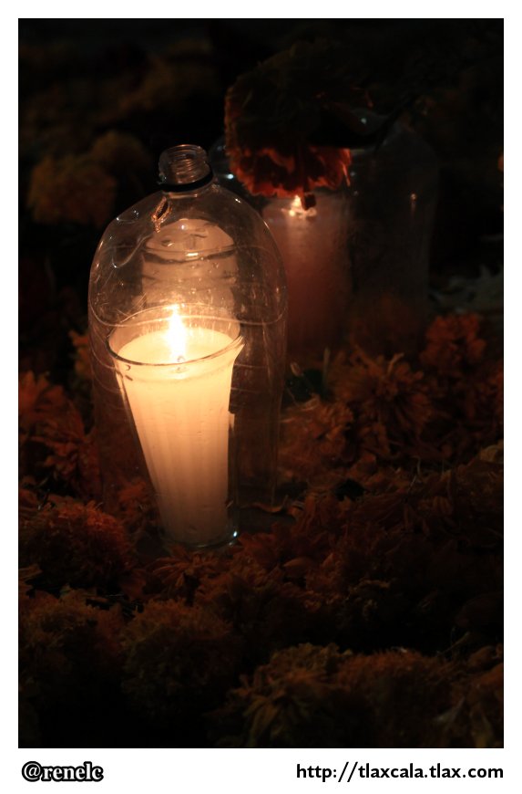 Dia de muertos en San Isidro Buen Suceso - Foto