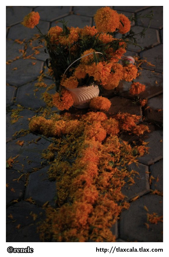Dia de muertos en San Isidro Buen Suceso - Foto