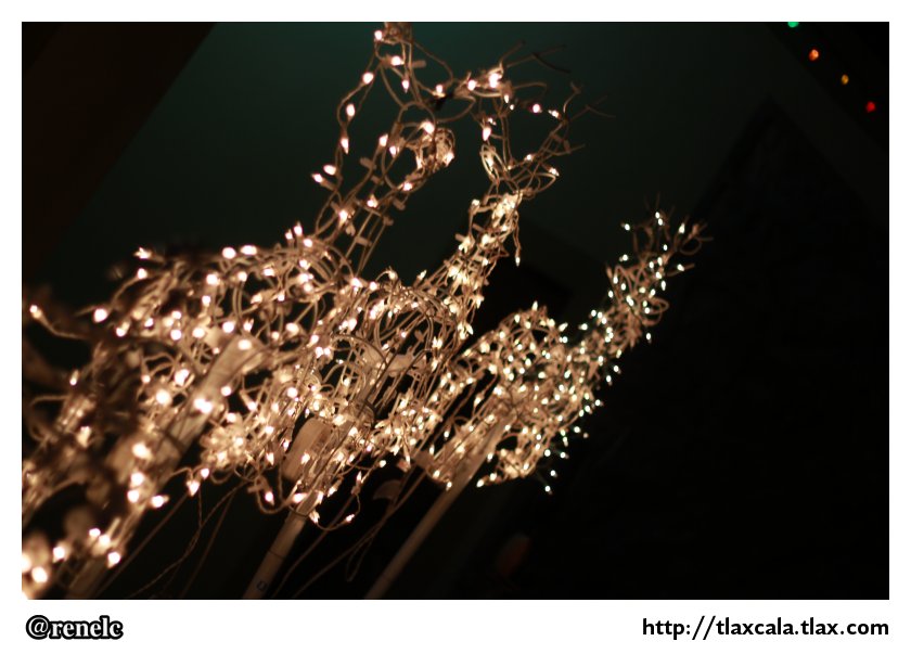 Nacimientos de San Pedro Tlalcuapan 2012 - Foto