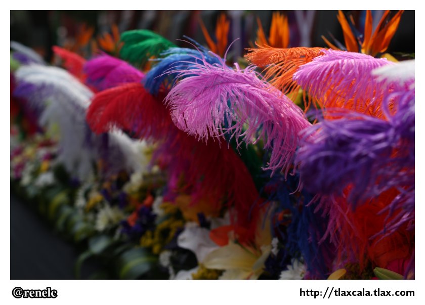 Desfile de Carnaval Tlaxcala 2013 - Foto