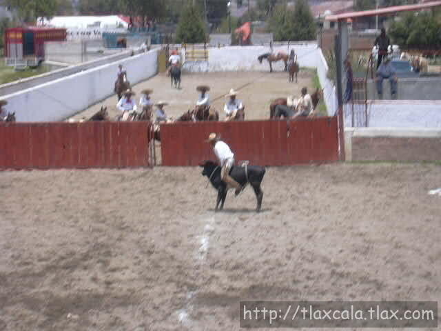 Jineteo de Julian Herrera de rancheros de Tlaxcala