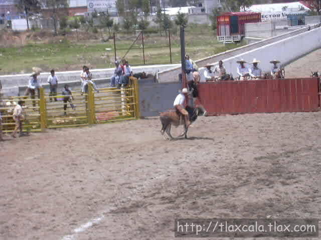 Jineteo Victor Lopez de la  Herradura