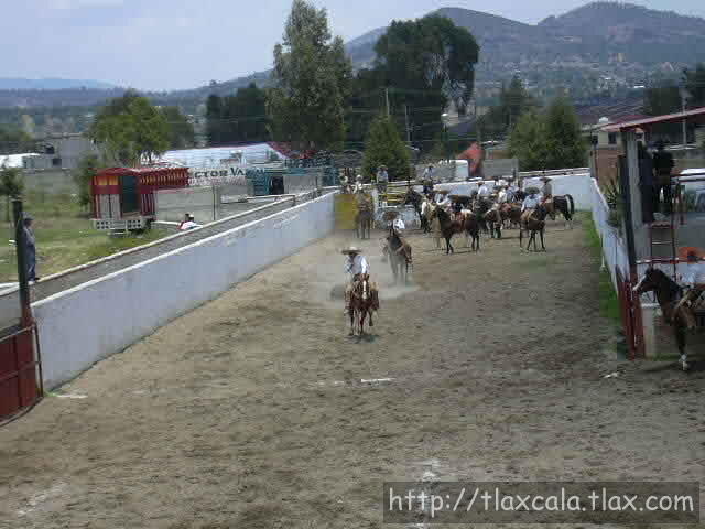 Lauro Garcia coleando para la Herradura
