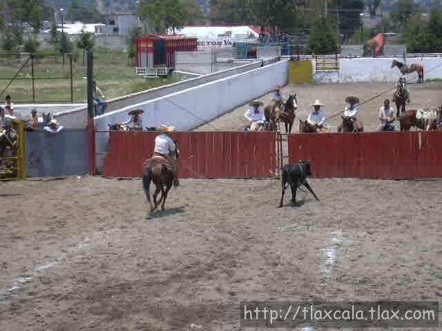 Lazado de cabeza por benny por rancheros de Tlaxcala