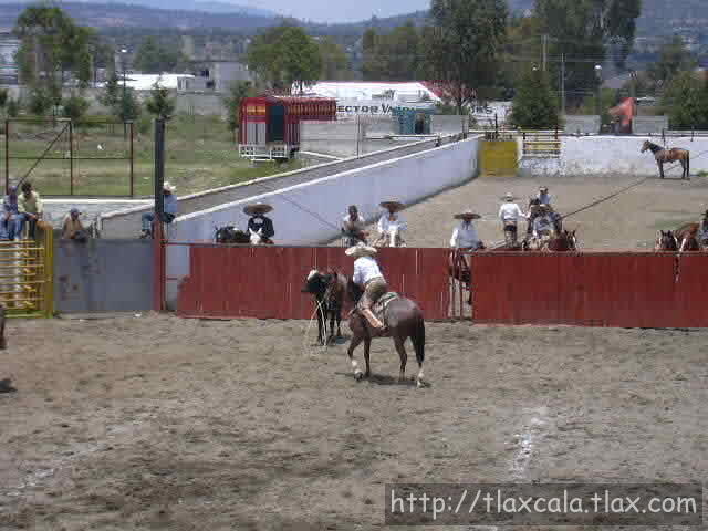 Lazado de Cabeza de Hector Velazquez Tepalca